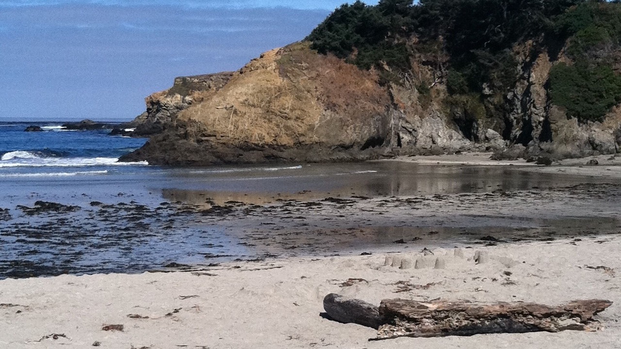 Photo of Others in Fort Bragg