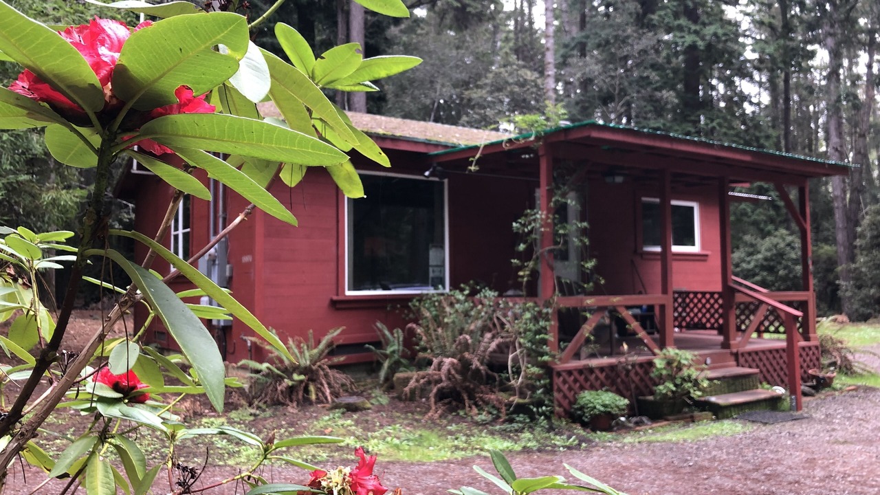 Photo of Outdoor in Fort Bragg