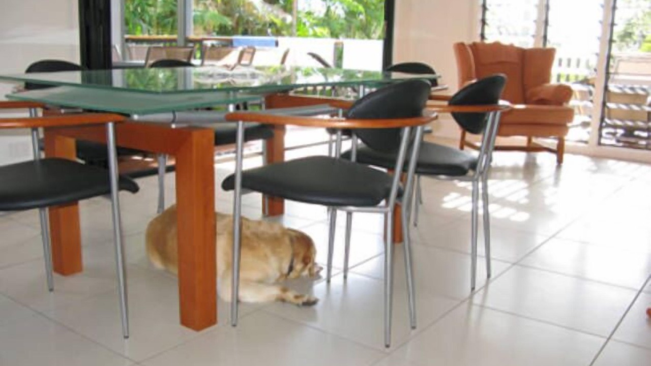 Photo of Others in Peregian Beach