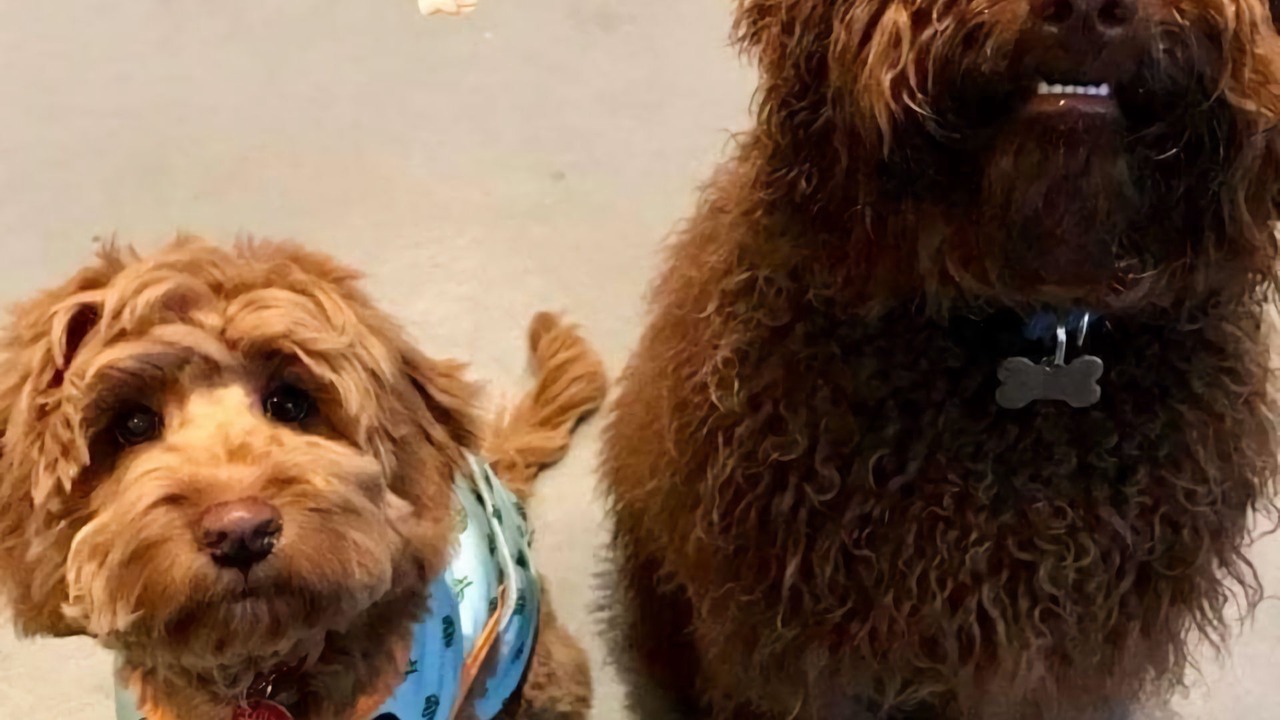 Photo of Others in Sandy Point