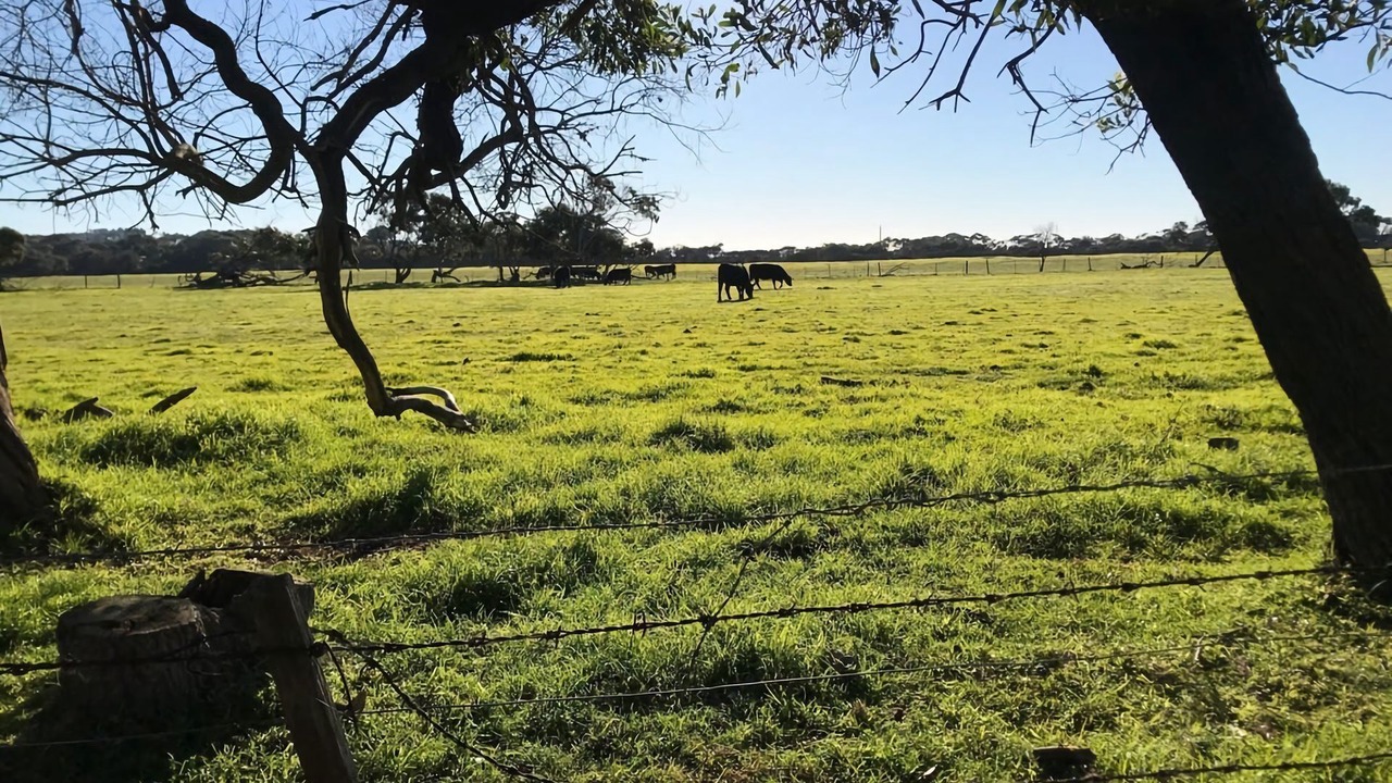 Photo of Others in Sandy Point
