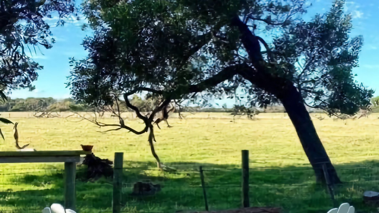Photo of Others in Sandy Point