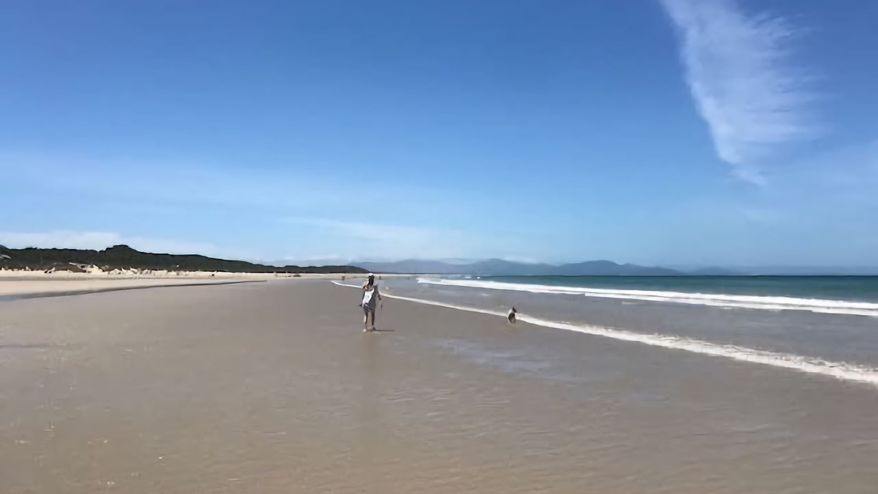 Photo of Others in Sandy Point