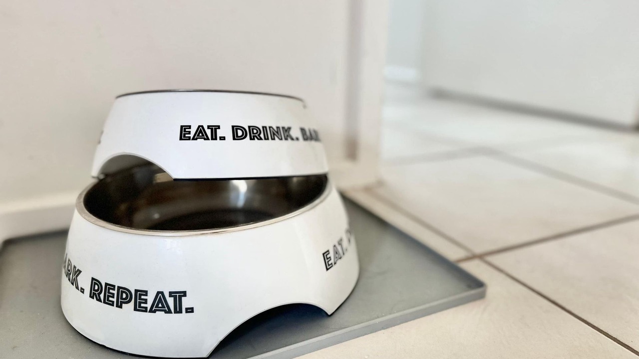 Photo of Others in Sandy Point