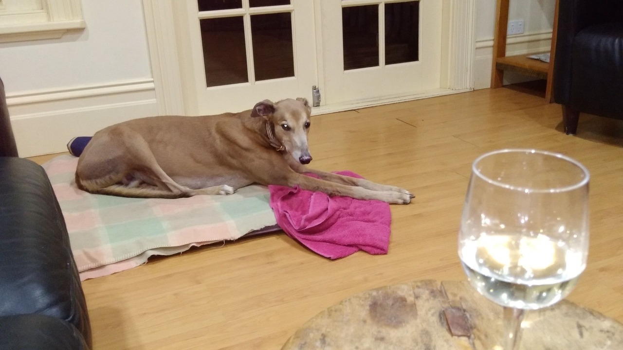 Photo of Others in Dunolly