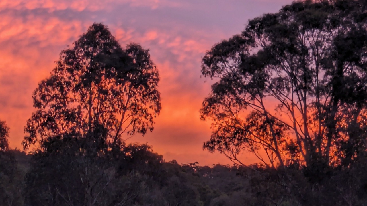 Photo of Others in Dunolly