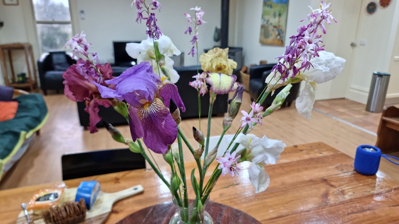 Photo of Others in Dunolly