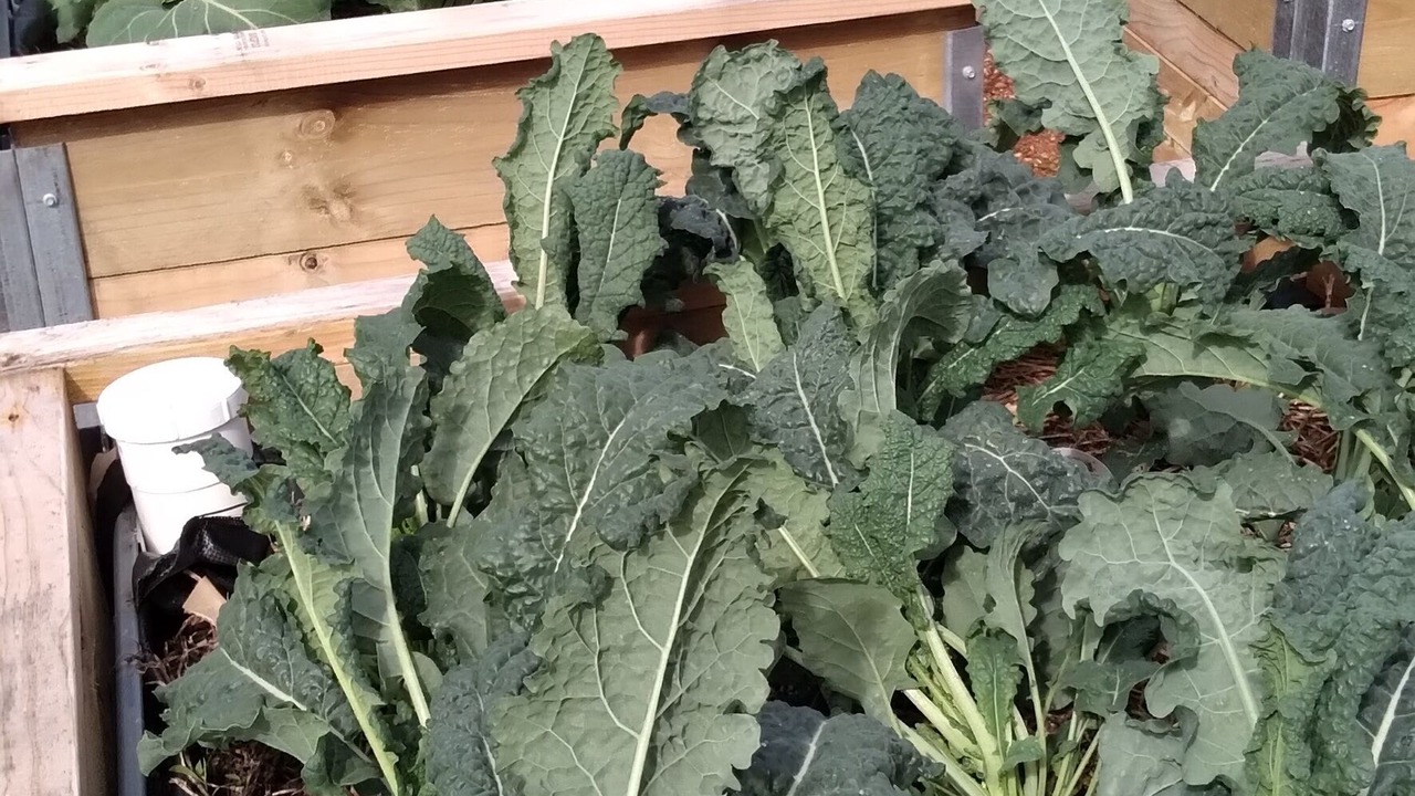 Photo of Outdoor in Dunolly