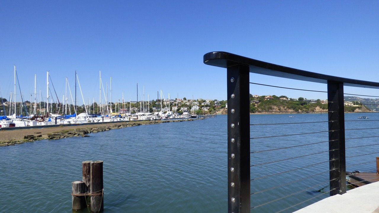 Photo of Others in Marin City