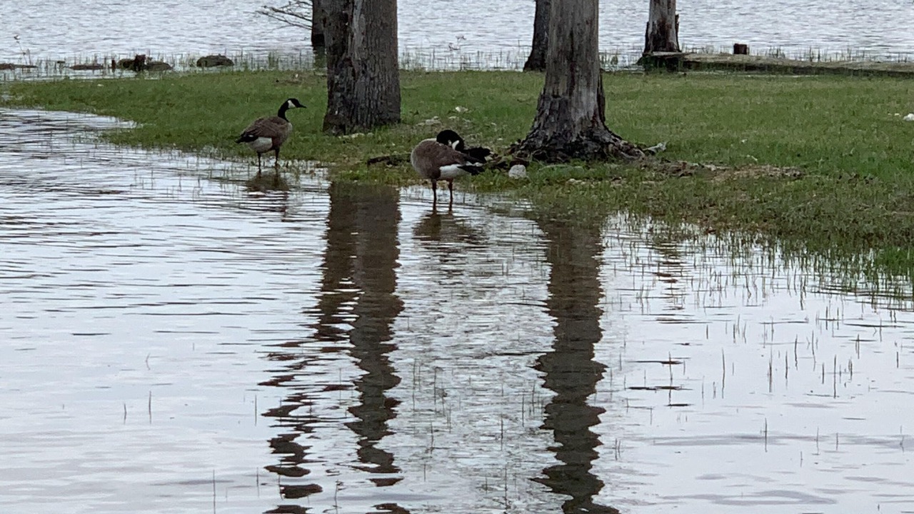 Photo of Outdoor in Brookeland