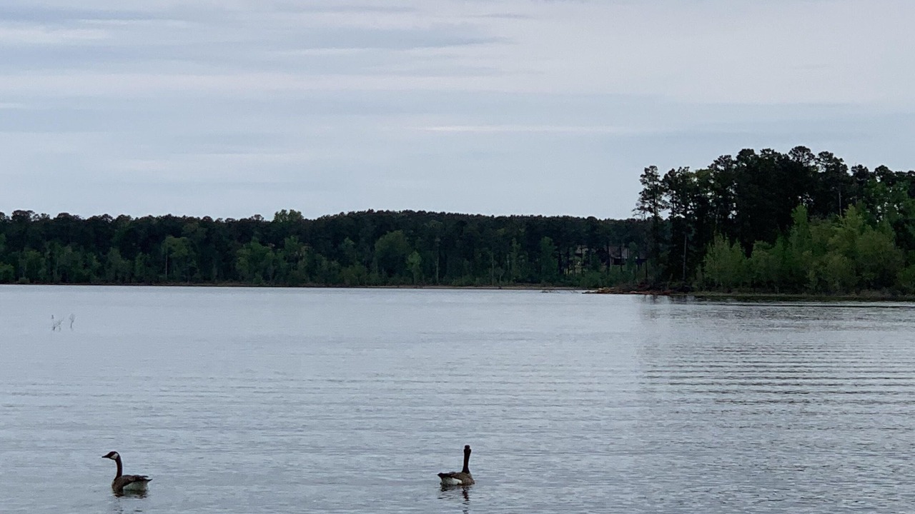 Photo of Outdoor in Brookeland