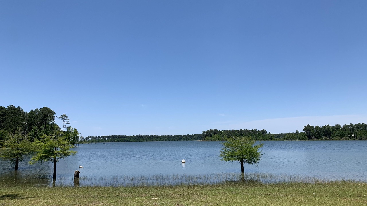 Photo of Others in Brookeland