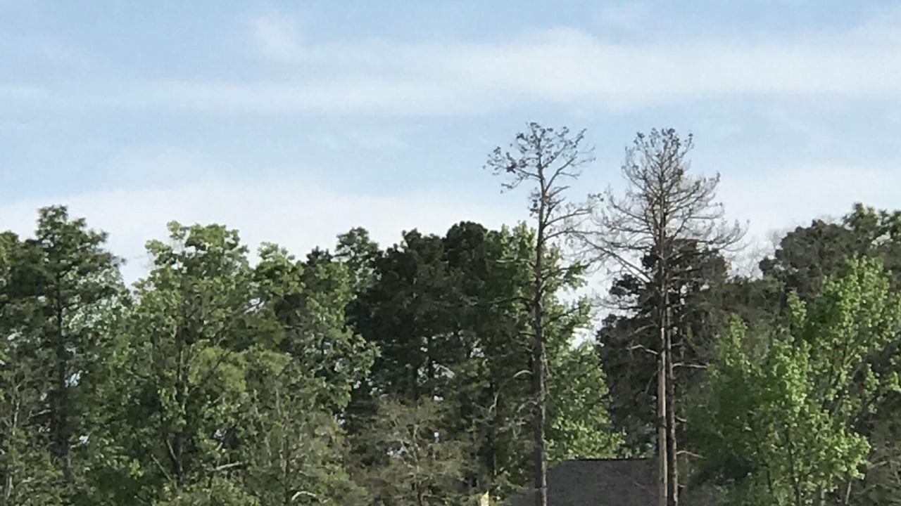 Photo of Others in Brookeland