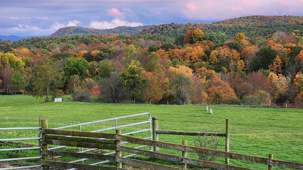 Photo of Outdoor in Wells