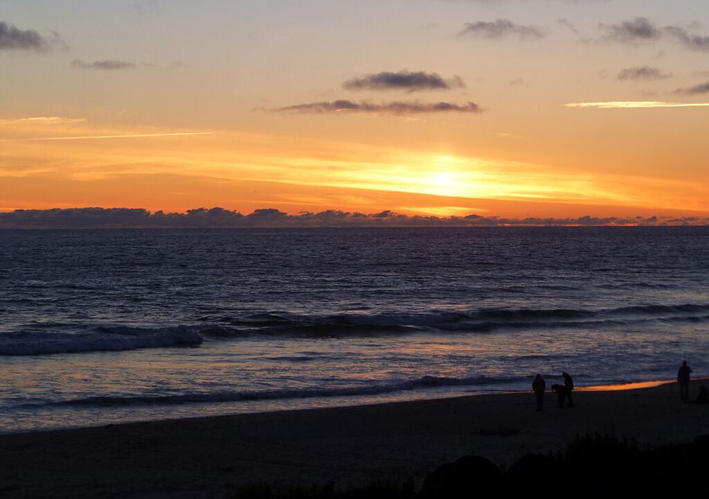 Photo of Others in Roads End