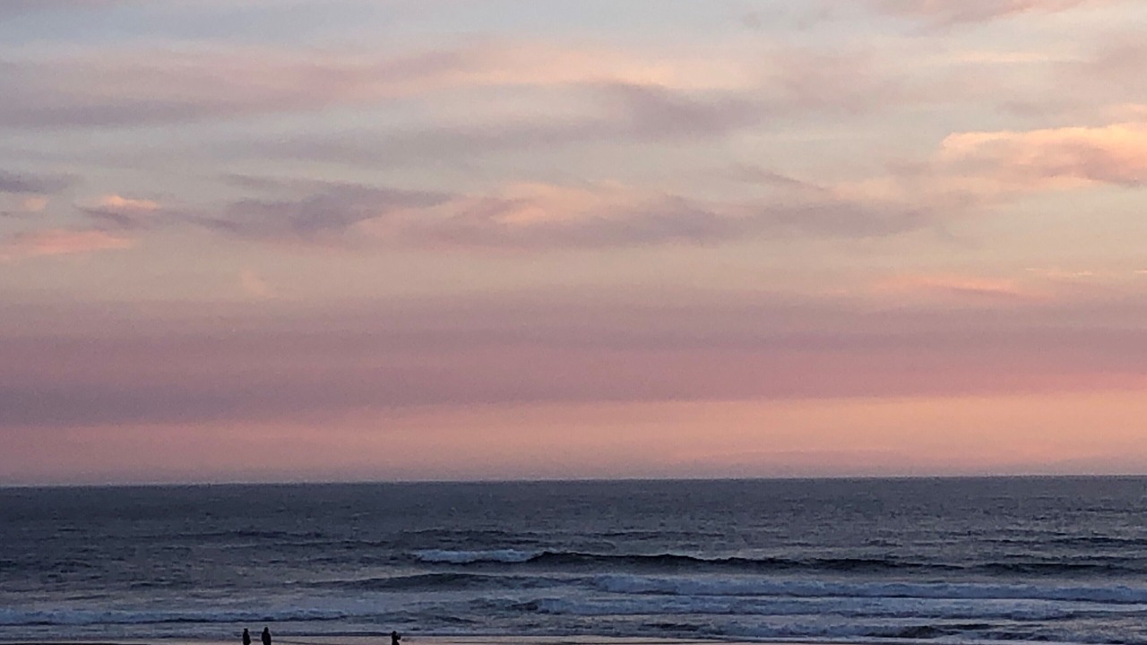 Photo of Others in Roads End