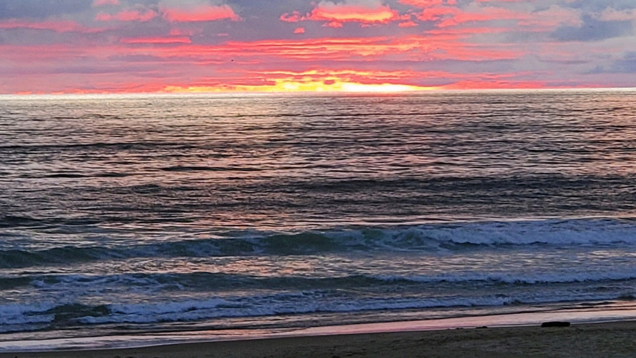 Photo of Others in Roads End