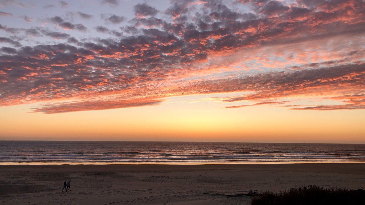 Photo of Others in Roads End