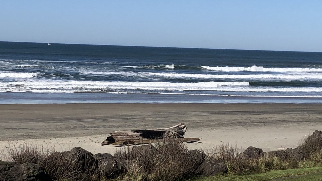 Photo of Others in Roads End