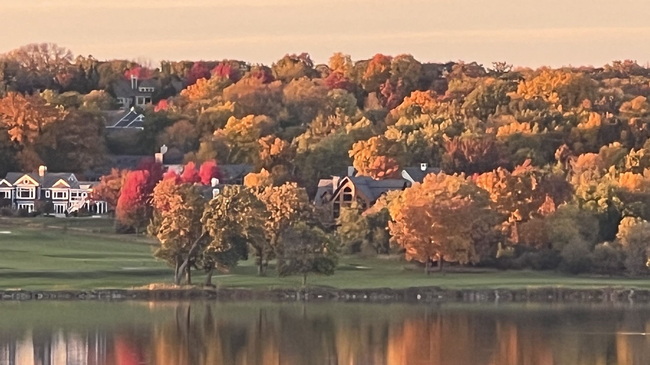 Photo of Others in Lake Geneva