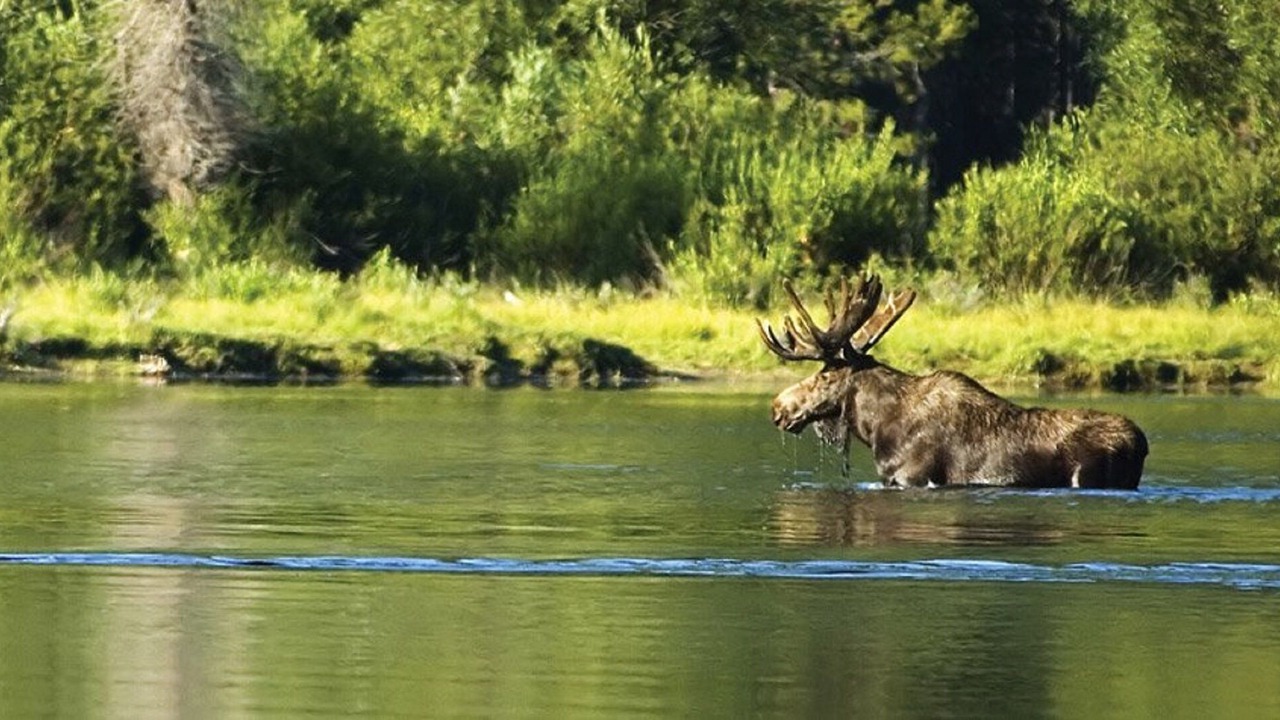 Photo of Outdoor in Teton Village