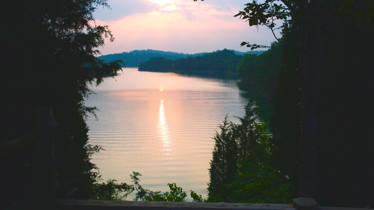 Photo of Others in Sevierville