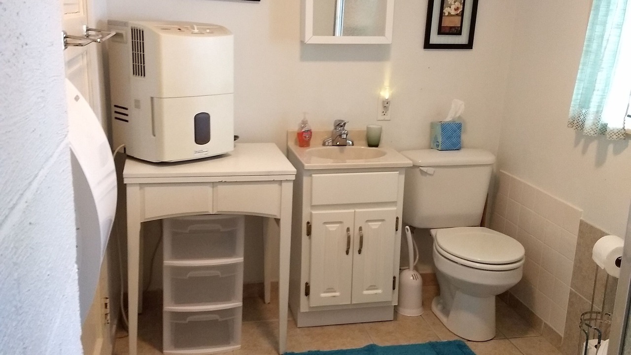 Photo of Bathroom in Town of Milo