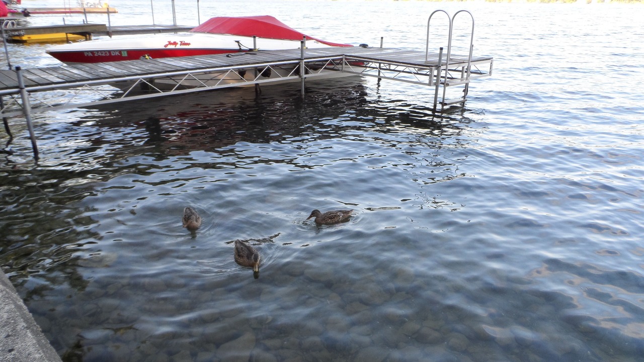 Photo of Outdoor in Town of Milo