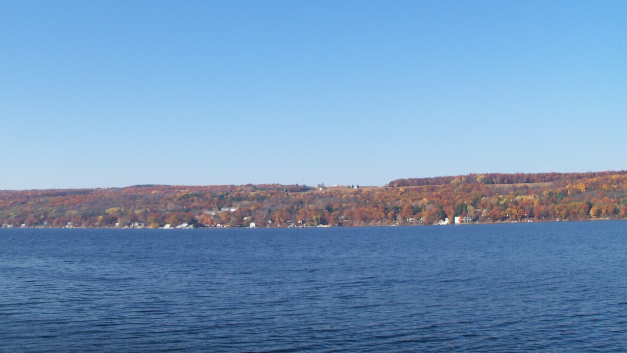 Photo of Others in Town of Milo