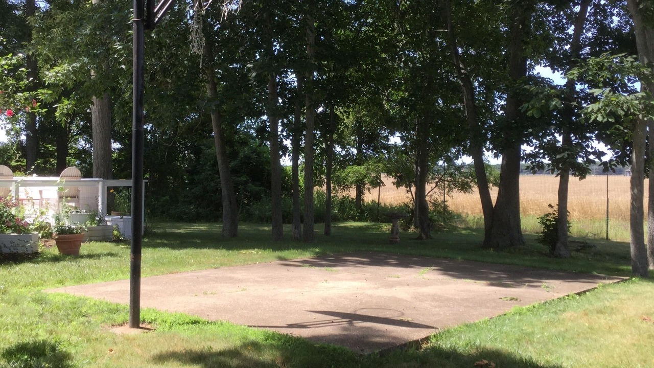 Photo of Others in Water Mill