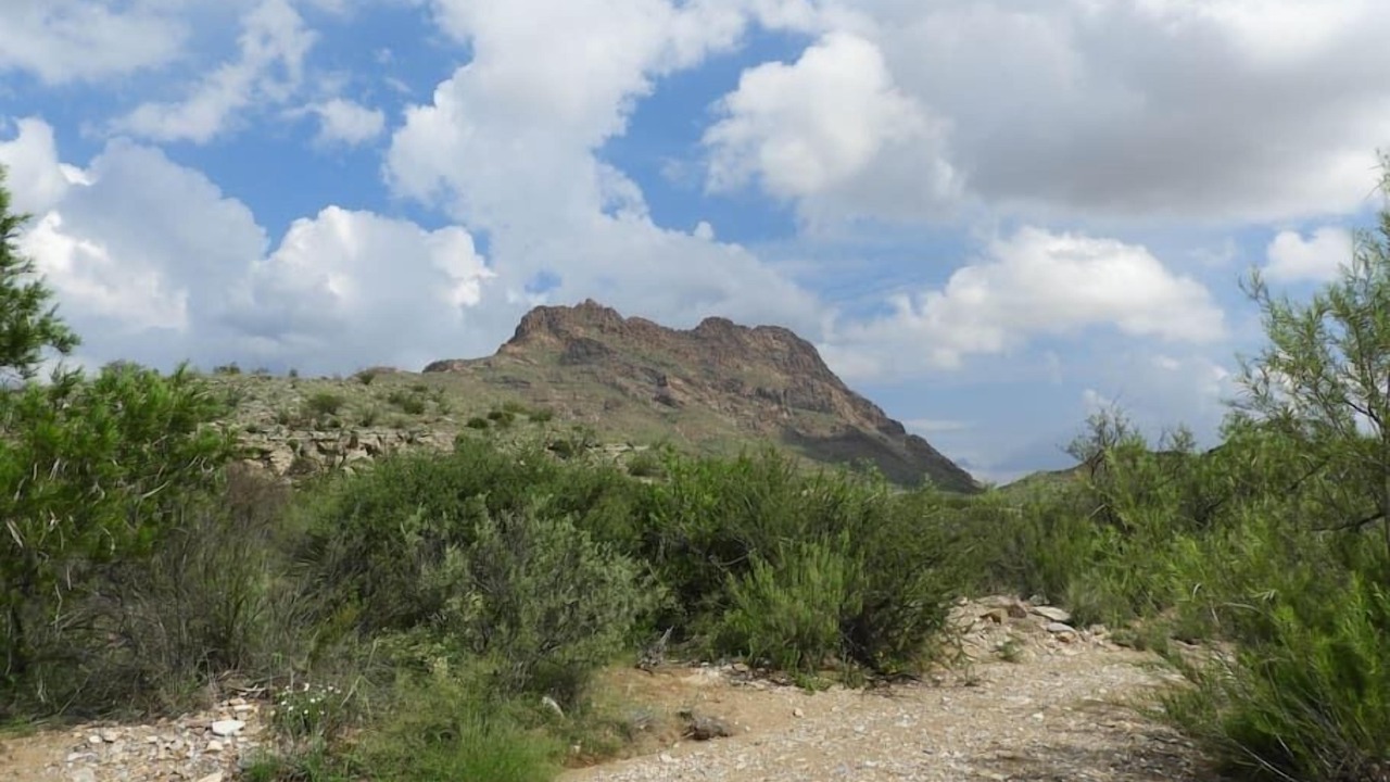 Photo of Others in Brewster County