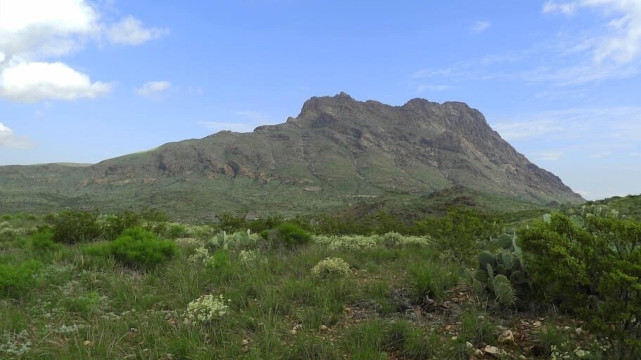 Photo of Others in Brewster County