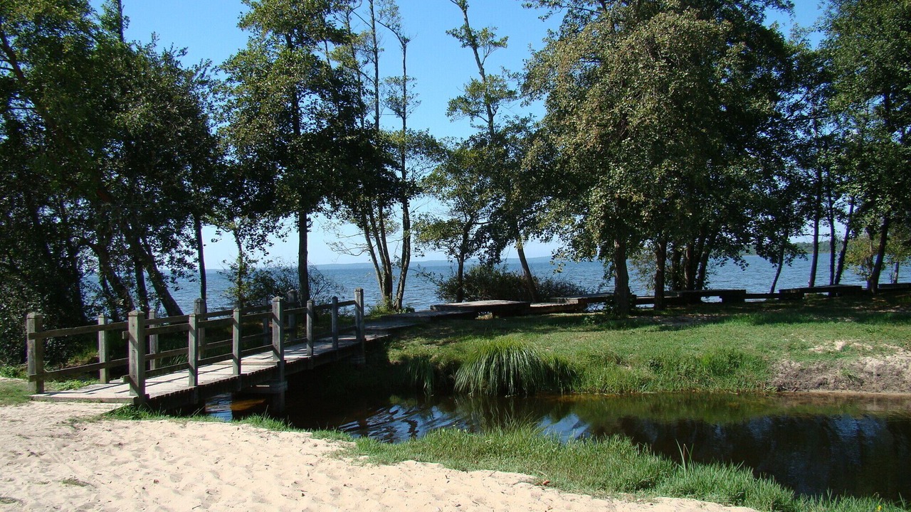 Photo of Outdoor in Parentis-en-Born