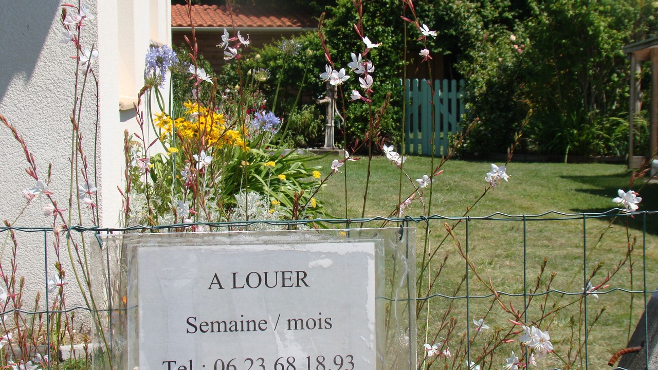 Photo of Outdoor in Parentis-en-Born