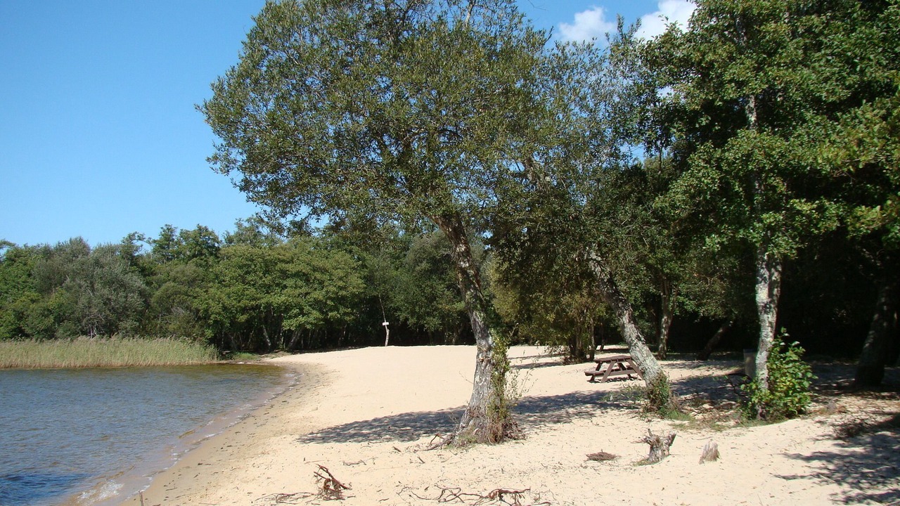Photo of Others in Parentis-en-Born