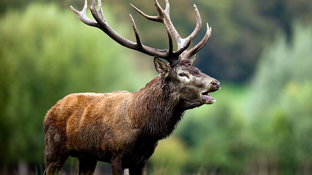 Photo of Outdoor in Sospel