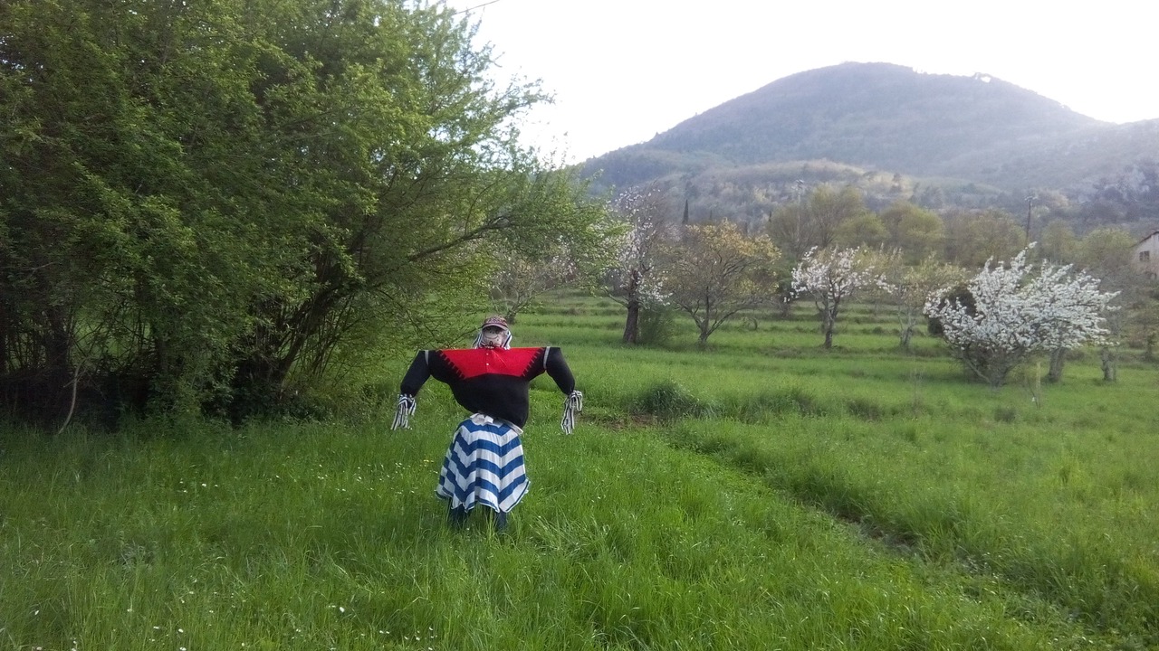 Photo of Others in Sospel