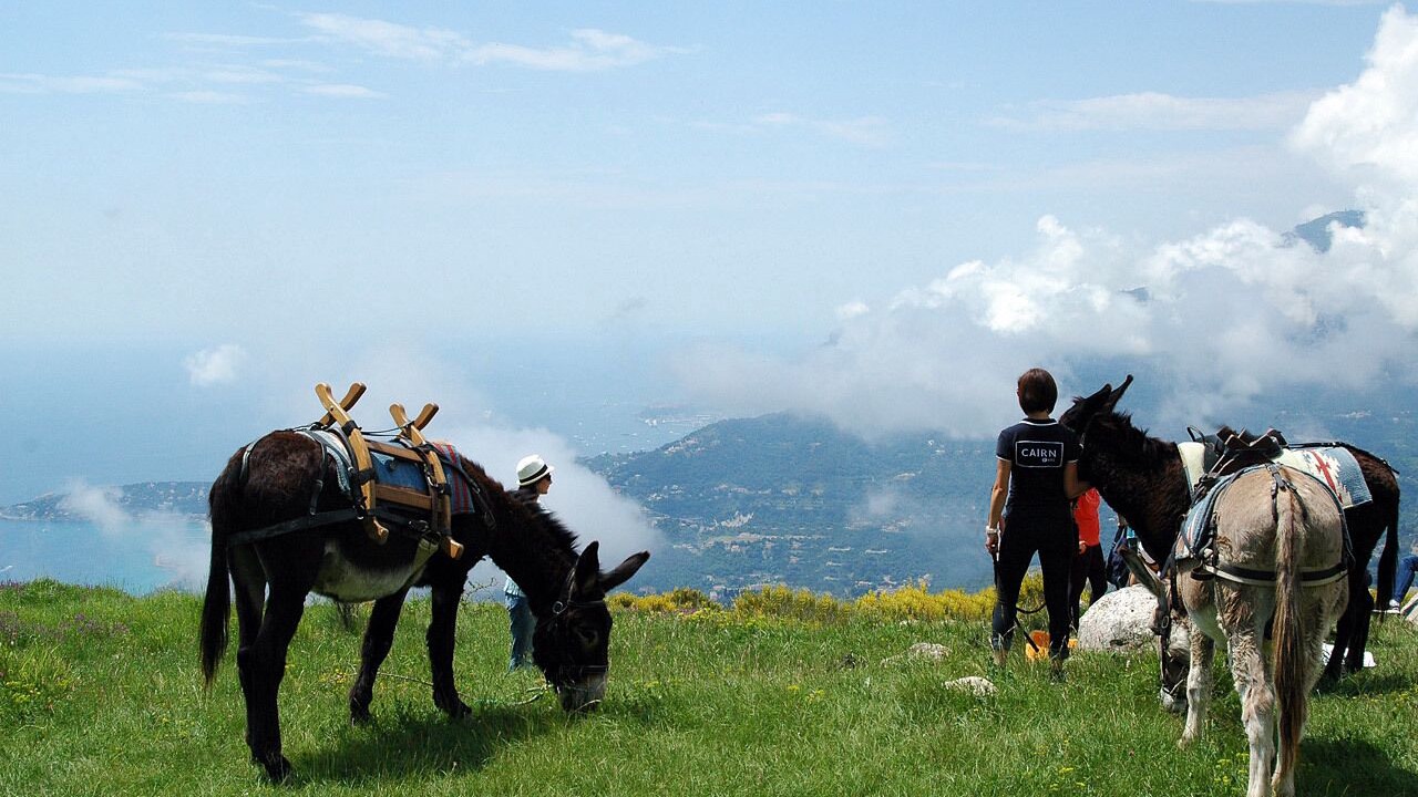 Photo of Others in Sospel