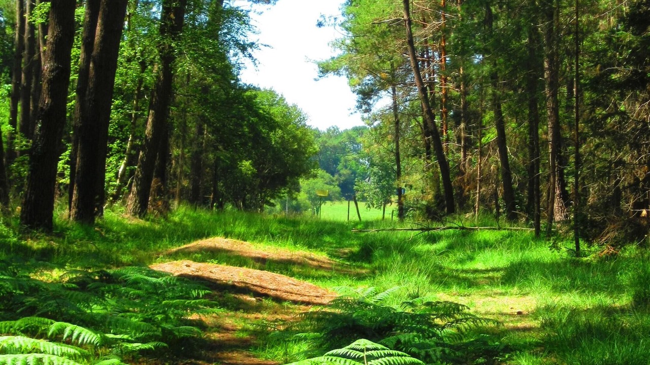 Photo of Outdoor in Theix-Noyalo