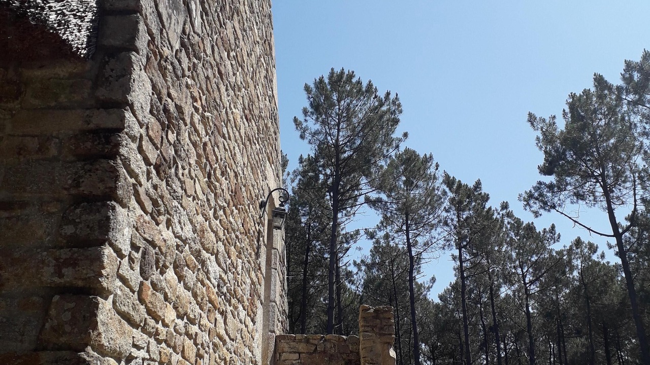 Photo of Outdoor in Theix-Noyalo
