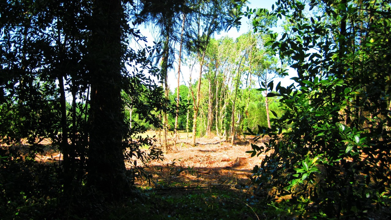 Photo of Outdoor in Theix-Noyalo