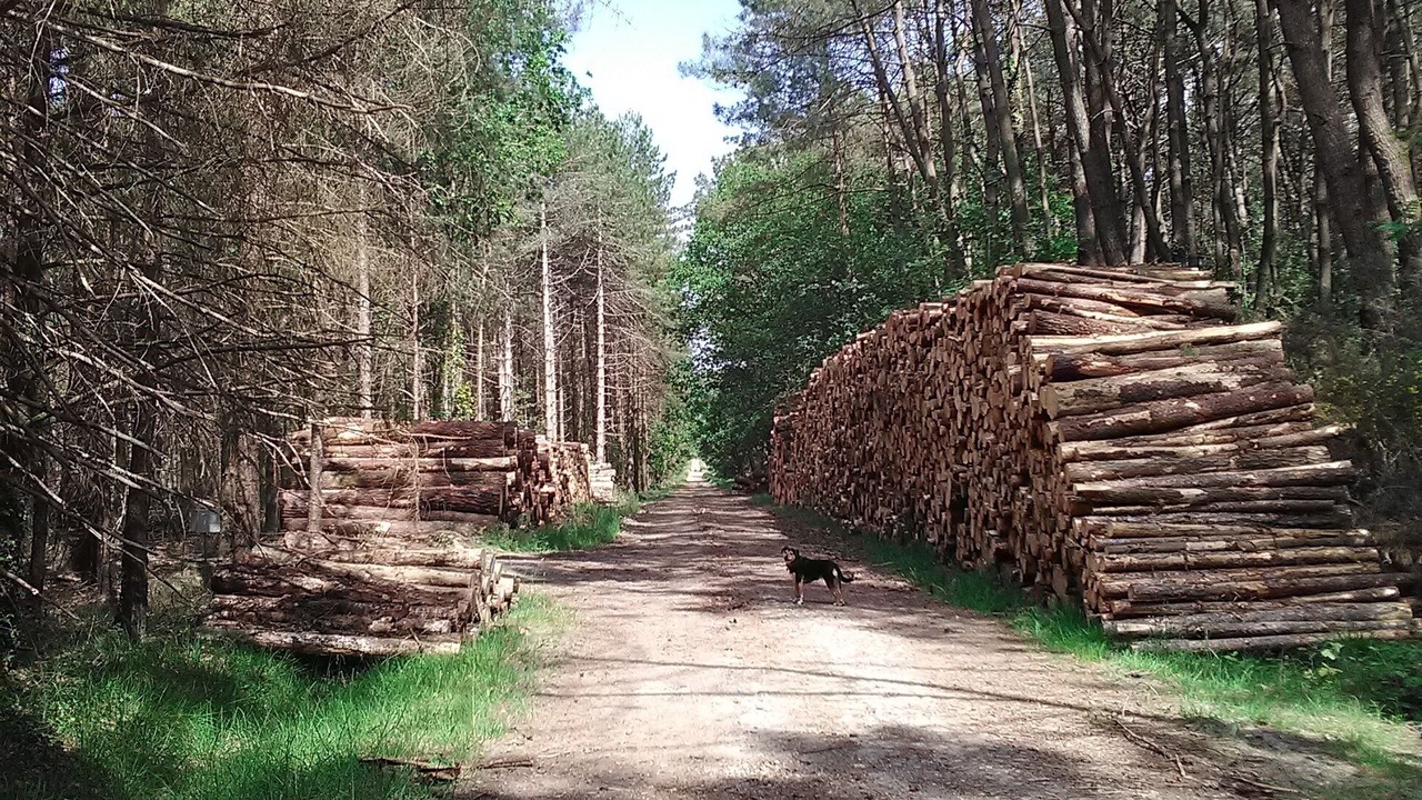 Photo of Outdoor in Theix-Noyalo