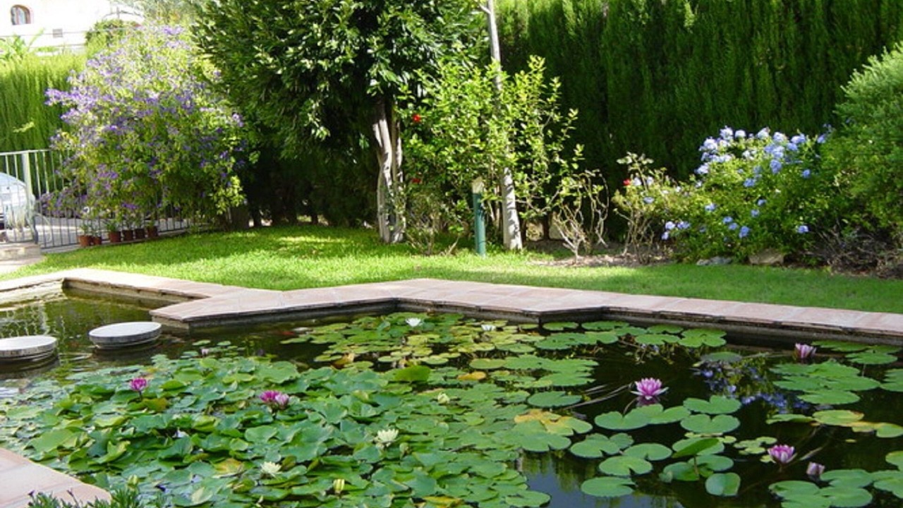 Photo of Outdoor in Santa Clara