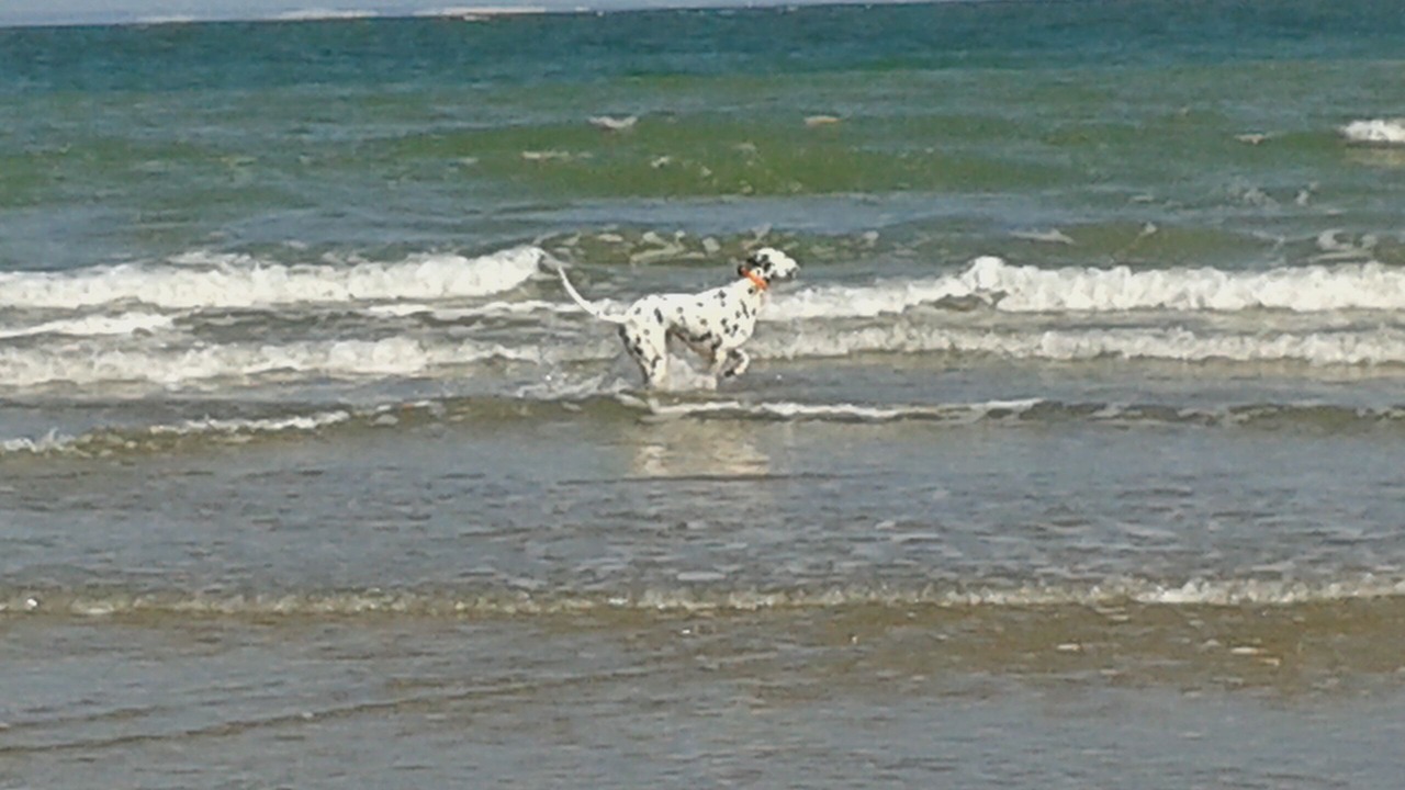 Photo of Others in Audinghen