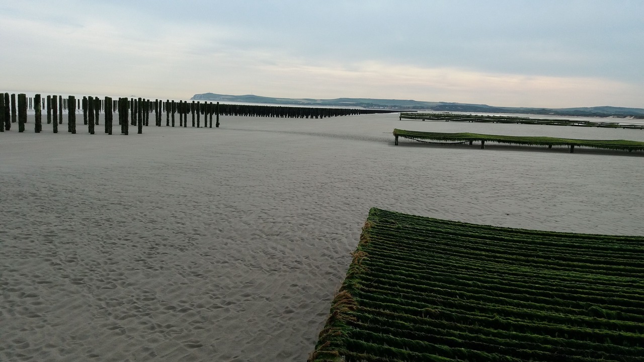 Photo of Others in Audinghen