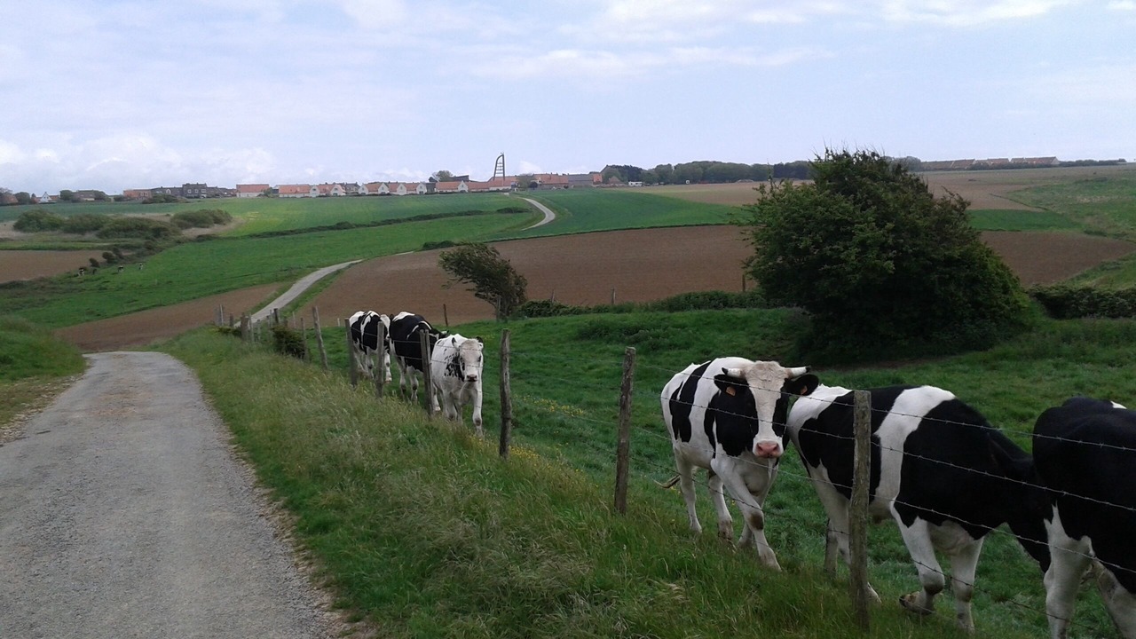 Photo of Outdoor in Audinghen