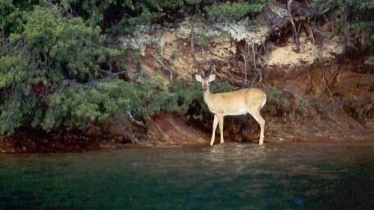 Photo of Others in Huddleston