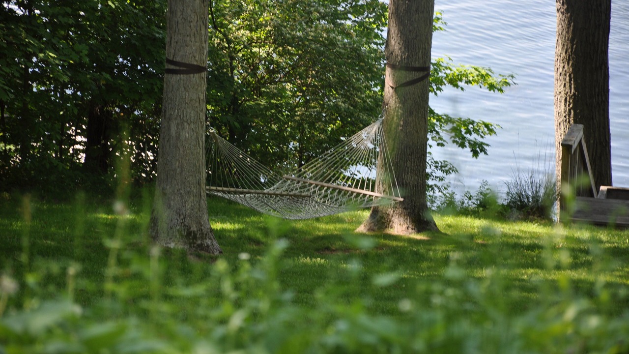 Photo of Outdoor in Three Rivers