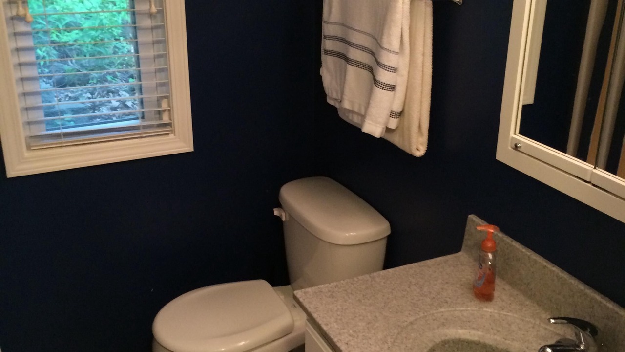 Photo of Bathroom in Three Rivers