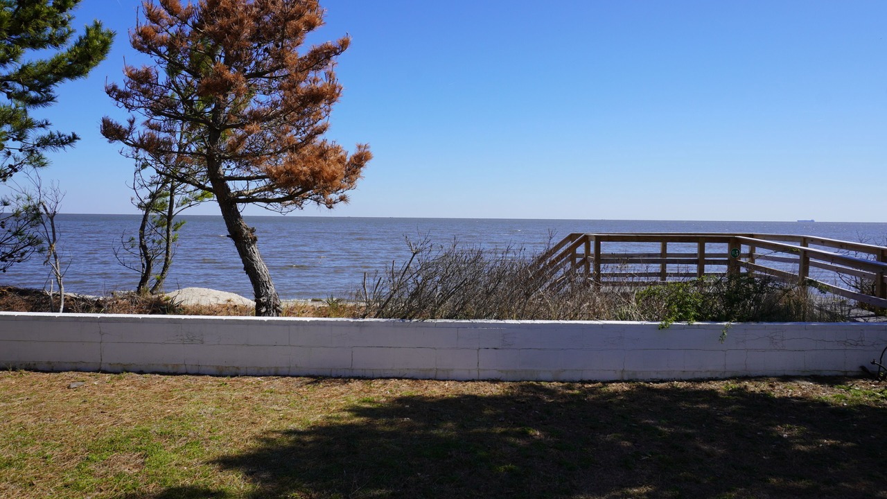 Photo of Outdoor in Slaughter Beach